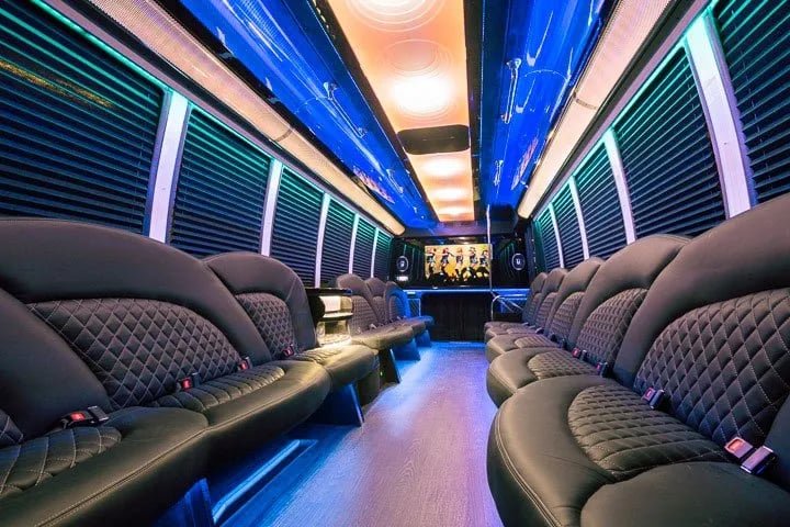 Autobús de fiesta de Danaro de 28 pasajeros