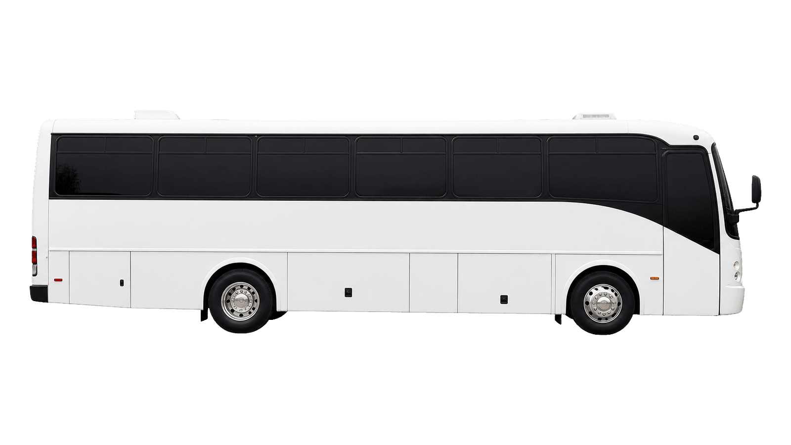 Danaro 28 Passenger Party Bus vehicle illustration